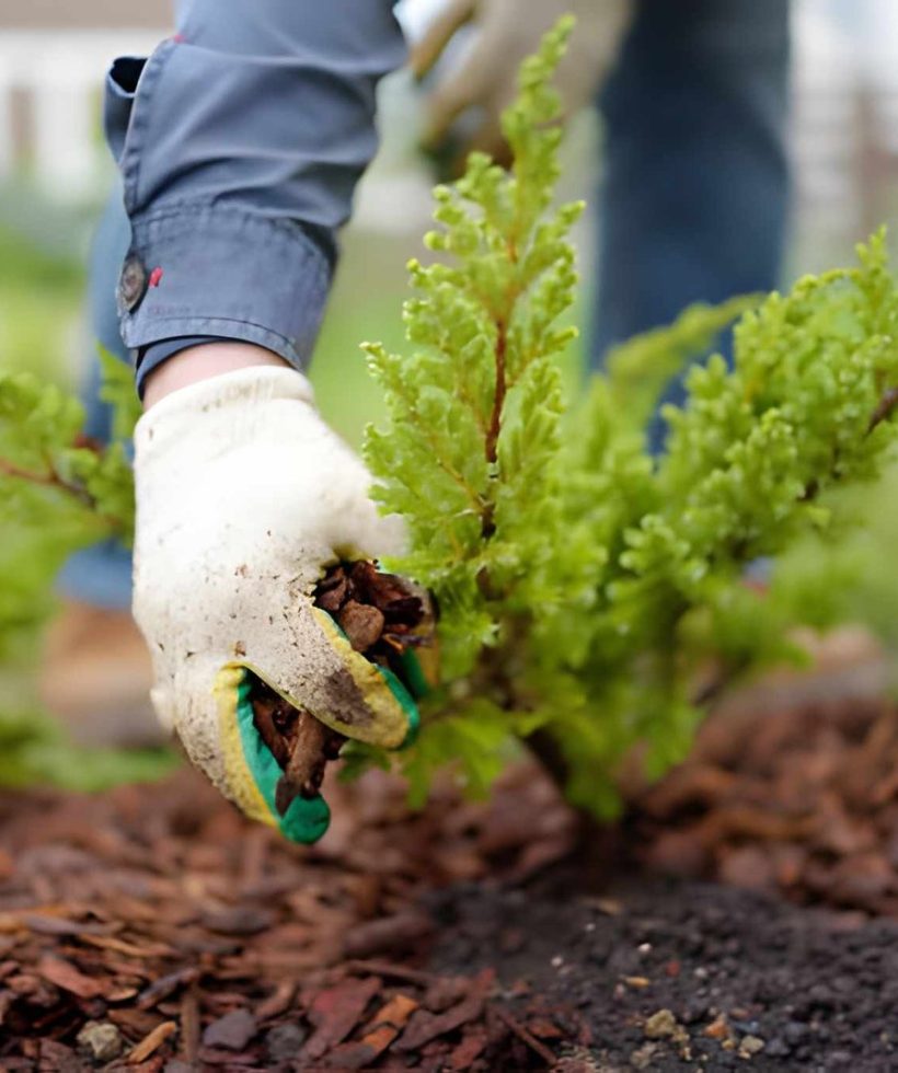 steptodown.com169102